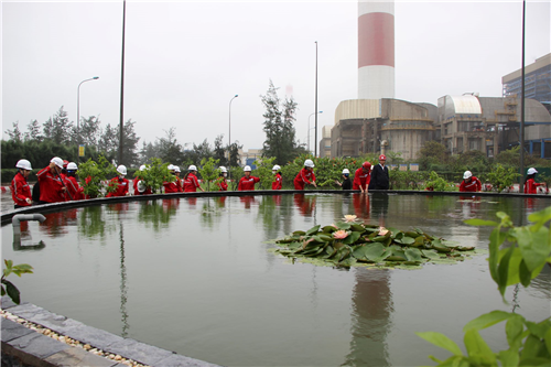 XANH HÓA NHÀ MÁY – CHUNG TAY HÀNH ĐỘNG